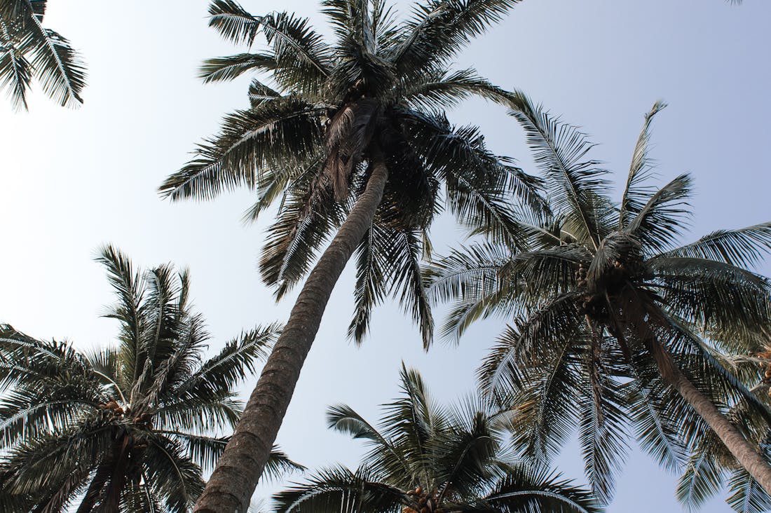 Eco-Friendly Travel: Sustainable Practices for the Conscious Geotravelers Image 3
