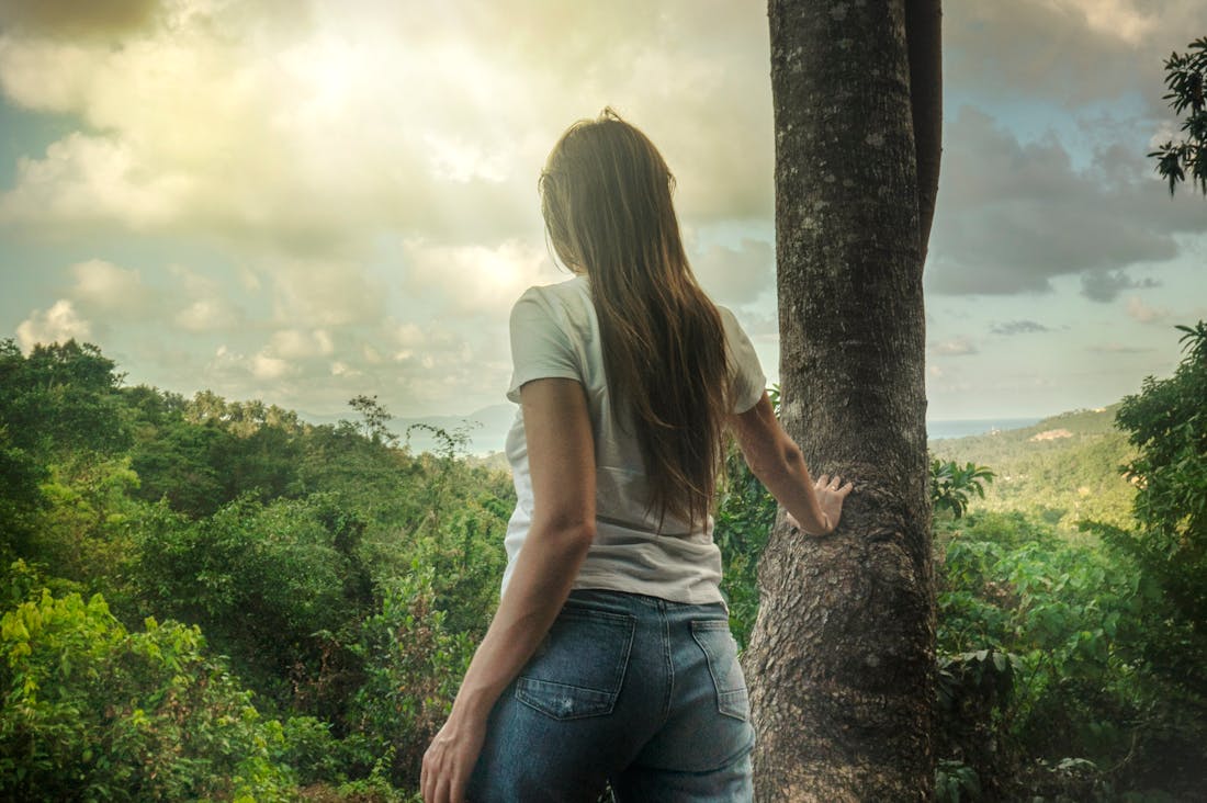 Eco-Friendly Travel Tips for Sustainable Explorers on a Budget Image 3