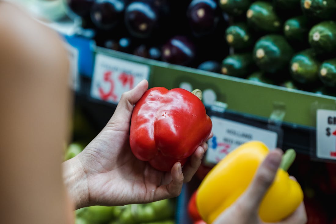 Eco-Friendly Travel Tips: Sustainable Choices for Modern Explorers Image 1