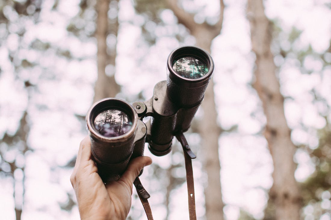 Eco-Friendly Travel Trends Redefining Modern Adventures Image 3