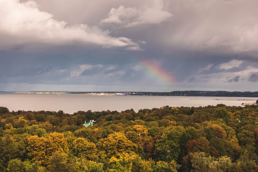 Eco-Friendly Vehicle Options for Conscious Consumers Image 3