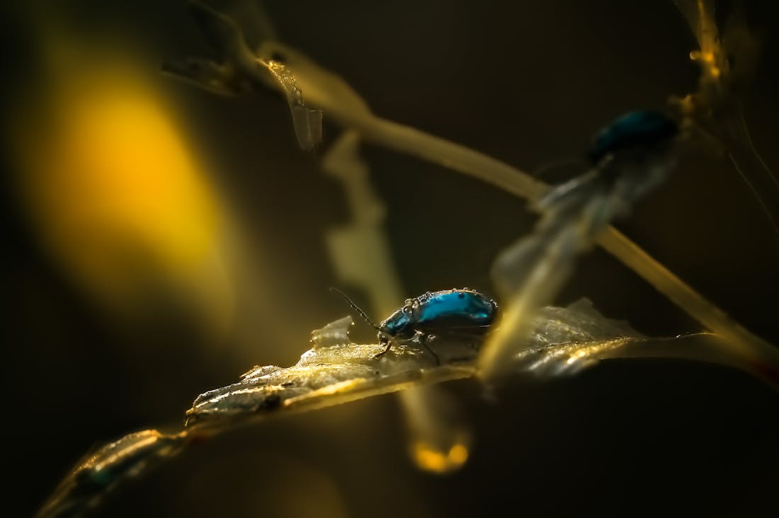 Effective Budgeting Strategies for a Stress-Free Financial Future Image 1