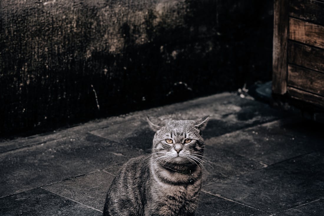 Effective Money Management Strategies for Daily Life Image 1