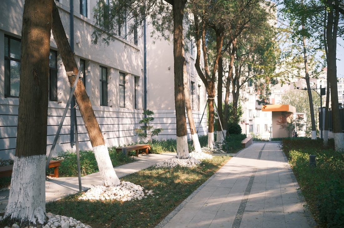 Effective Strategies for Managing Stress in Modern Life Image 3