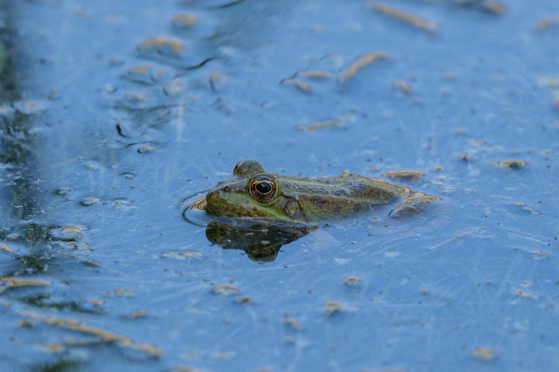 Efficient Money Management: Strategies for Building Wealth and Security Image 3