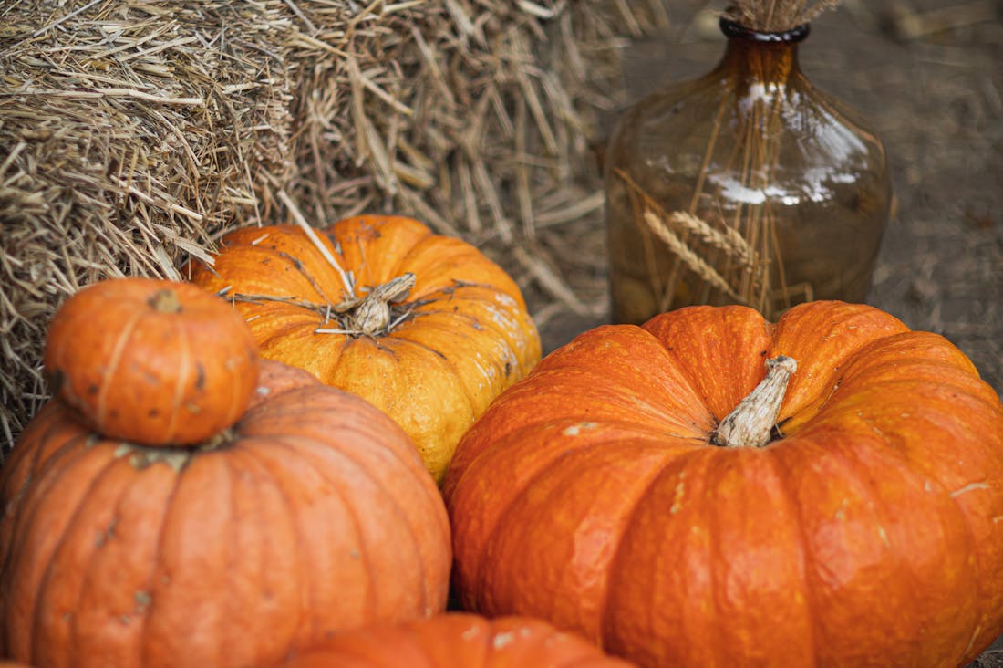 Elevate Daily Wellness with Simple Habits for a Healthier Life Image 1