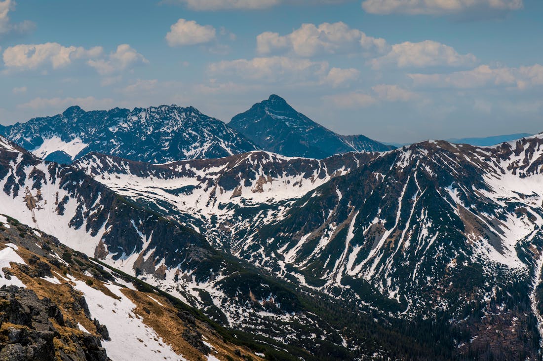 Elevating Everyday Living: Simple Design Tips for a Cozy Home Environment Image 2