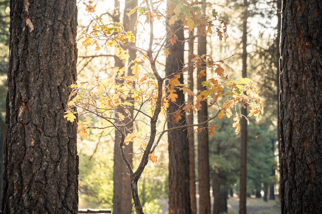 Elevating Everyday Wellness through Simple Lifestyle Changes Image 1