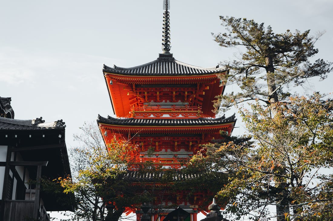 Embarking on Epic Journeys: Travel Trends That Are Changing the Way We Explore the World Image 1