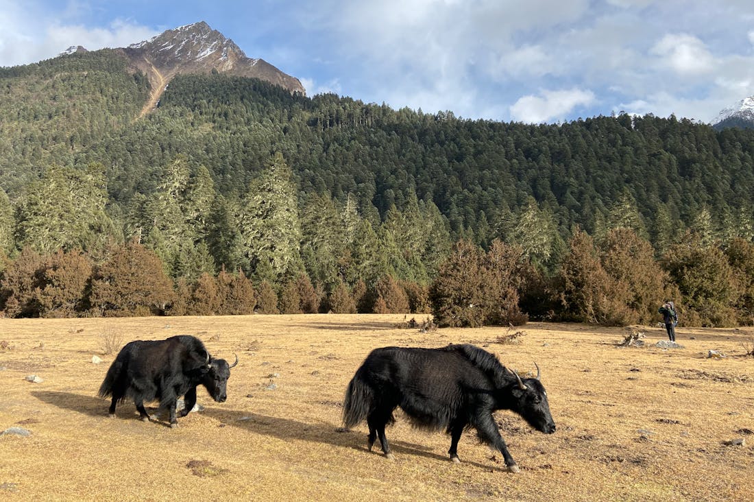 Embarking on New Adventures: Unleashing Your Inner Traveler in a Post-Pandemic World Image 3