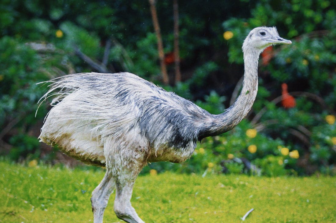 Embarking on Sustainable Travel: Eco-Friendly Practices for the Conscious Explorer Image 1