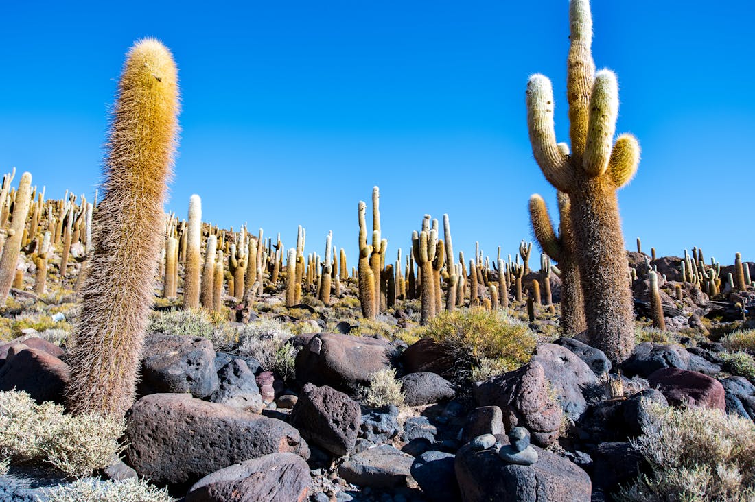 Embarking on Unique Travel Adventures: Discovering Hidden Gems Around the World Image 3