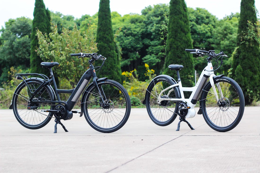 Embracing Electric Cars: The Future of Eco-Friendly Transportation and Driving Innovation Image 3