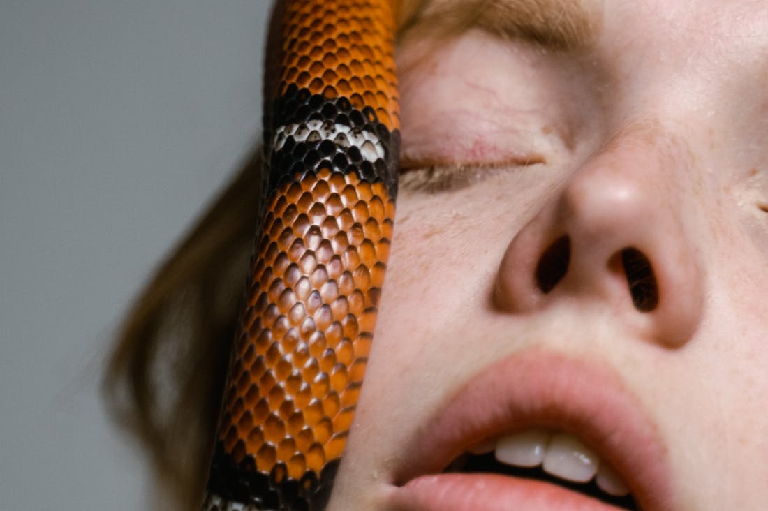 Embracing Electric Vehicles: The Future of Sustainable Transportation Image 3