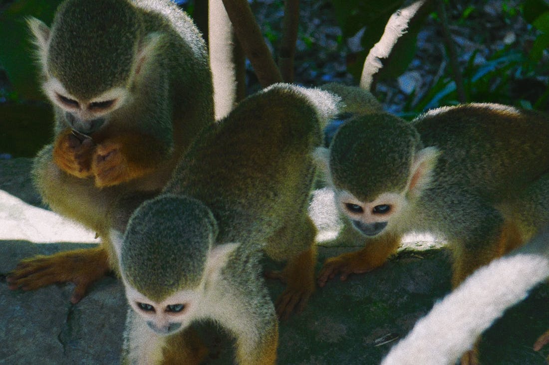 Embracing Holistic Health: How Integrative Practices Can Transform Your Well-being Image 2