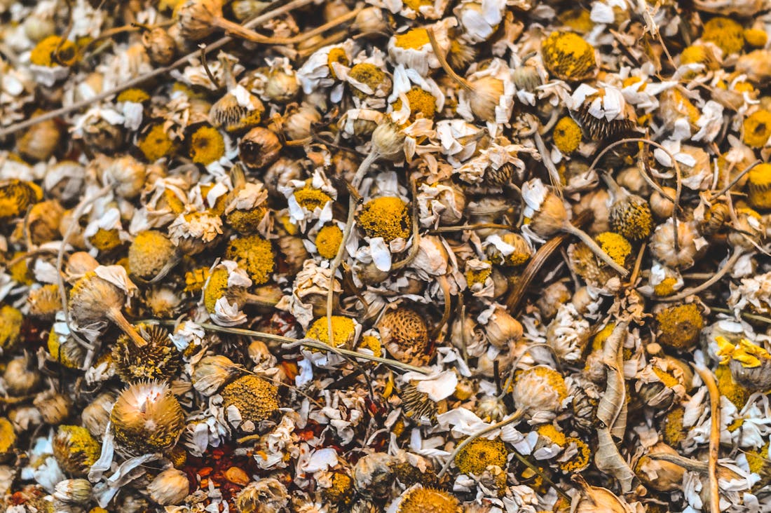 Embracing Holistic Health Practices: How to Achieve Balance in Your Daily Life Image 3