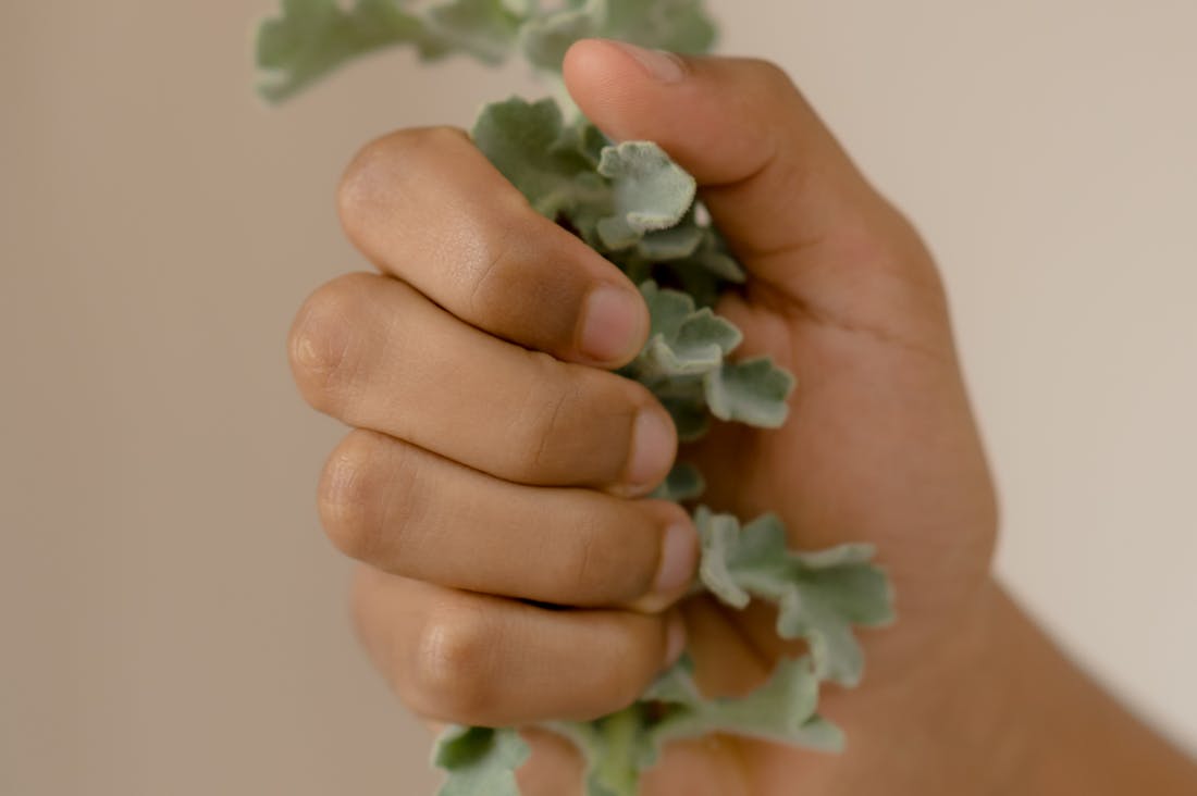 Embracing Mindful Living: Discover the Benefits of Meditation and Wellness Practices Image 3