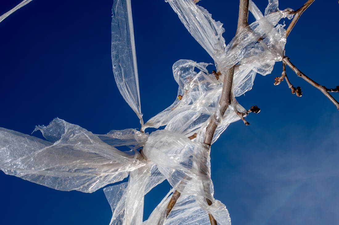 Embracing Mindfulness: How to Cultivate a Sustainable Lifestyle in a Fast-Paced World Image 2