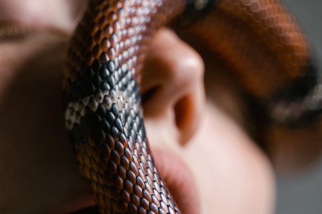 Embracing Mindfulness: The Art of Living in the Present Moment Image 3