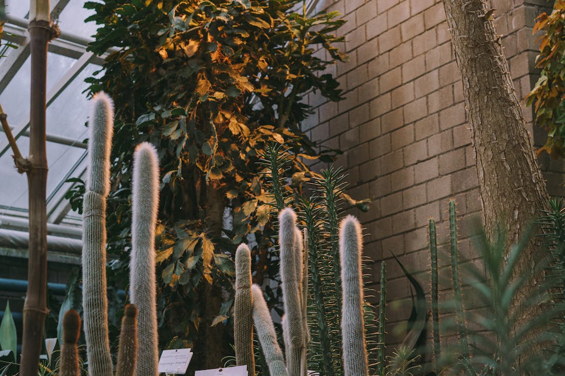 Embracing Minimalism: A Journey Towards a Simpler, More Fulfilling Life Image 3