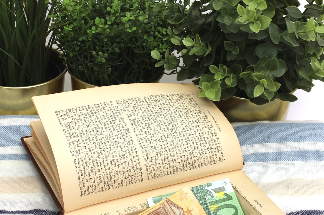 Embracing Minimalism: A Lifestyle Choice for Mental Clarity and Financial Freedom Image 3