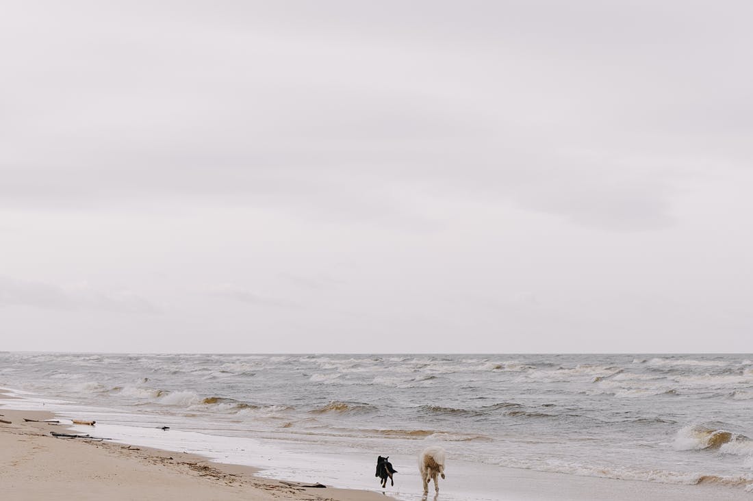 Embracing Minimalism: How to Enhance Your Lifestyle for Better Health and Wellbeing Image 2