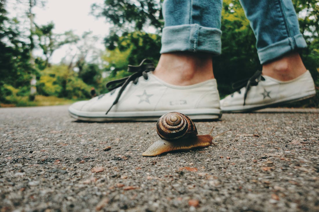 Embracing Slow Travel: Cultivating Deeper Connections and Unforgettable Experiences on Your Journeys Image 2