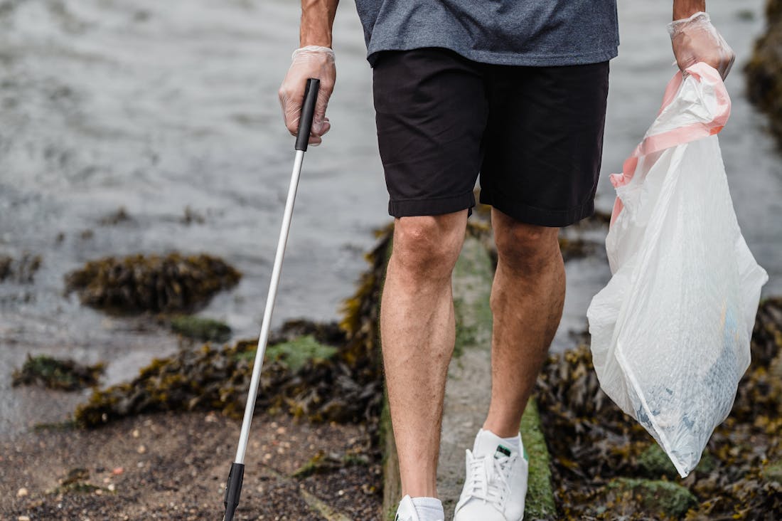 Embracing Sustainability: Small Changes for Big Environmental Impact Image 3