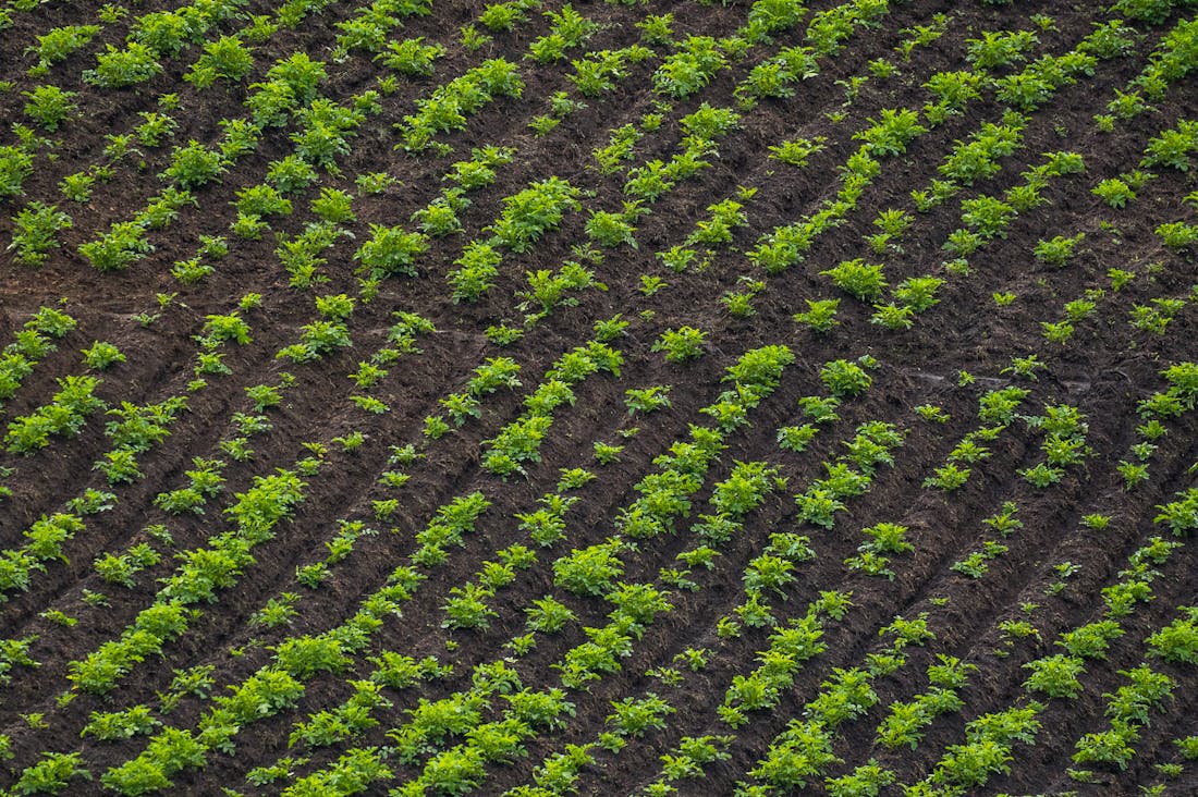 Embracing Sustainable Living: Transforming Your Lifestyle for a Greener Future Image 3