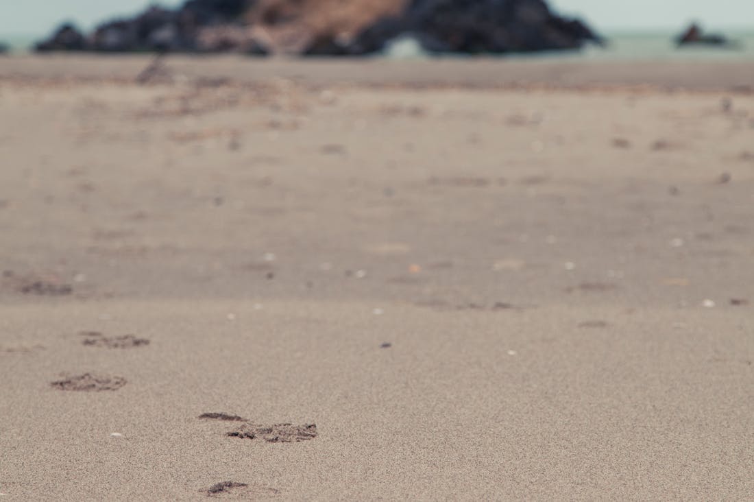 Embracing Sustainable Travel Choices: Tips for Eco-Conscious Explorers Image 2