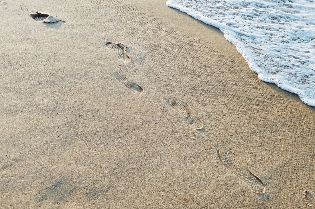 Embracing Sustainable Travel: Tips for the Eco-Conscious Explorer in 2023 Image 2
