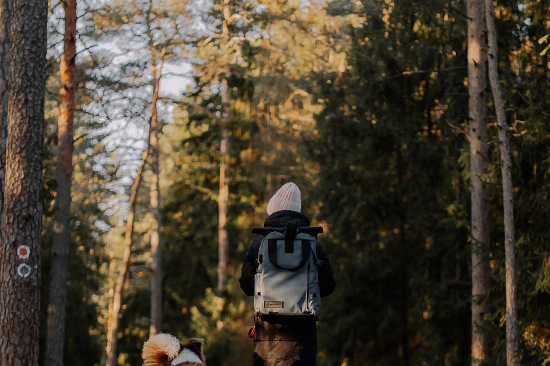 Embracing Travel as a Path to Wellness: How Exploring New Cultures Enhances Personal Growth Image 1