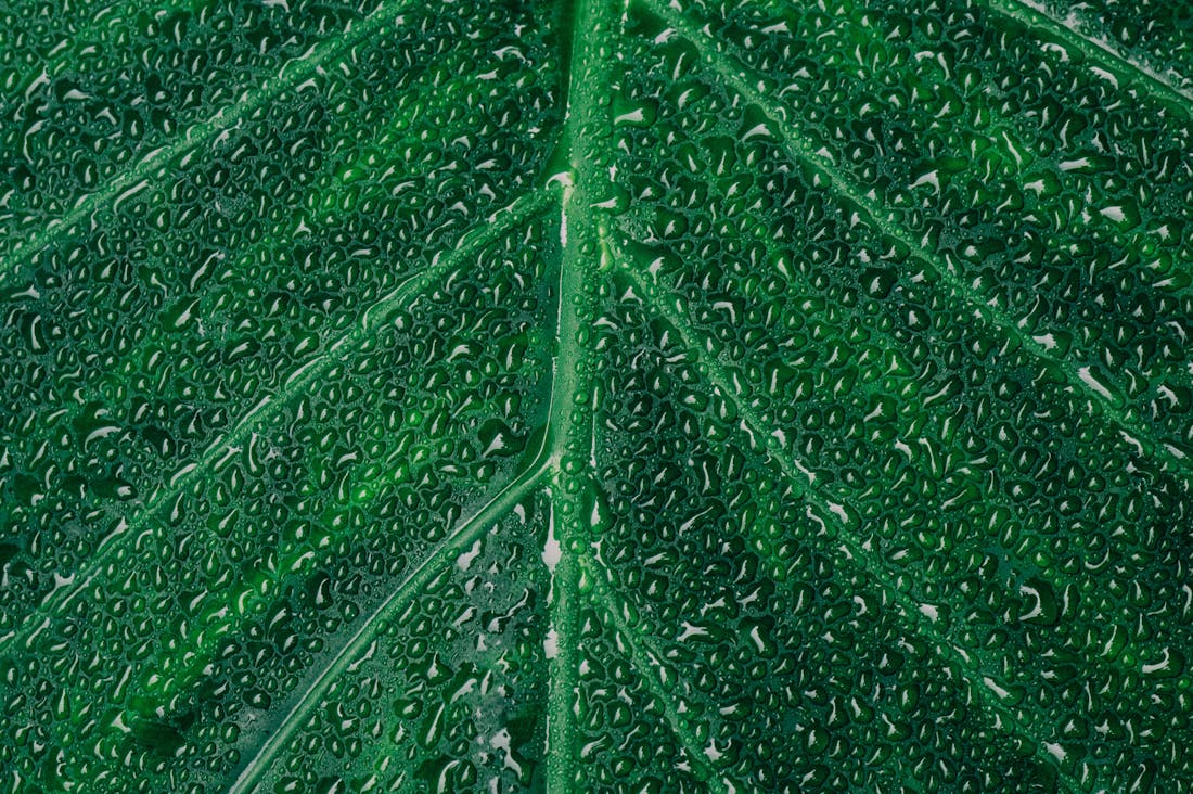 Emerging Technologies Shaping the Future of Sustainable Travel Image 3