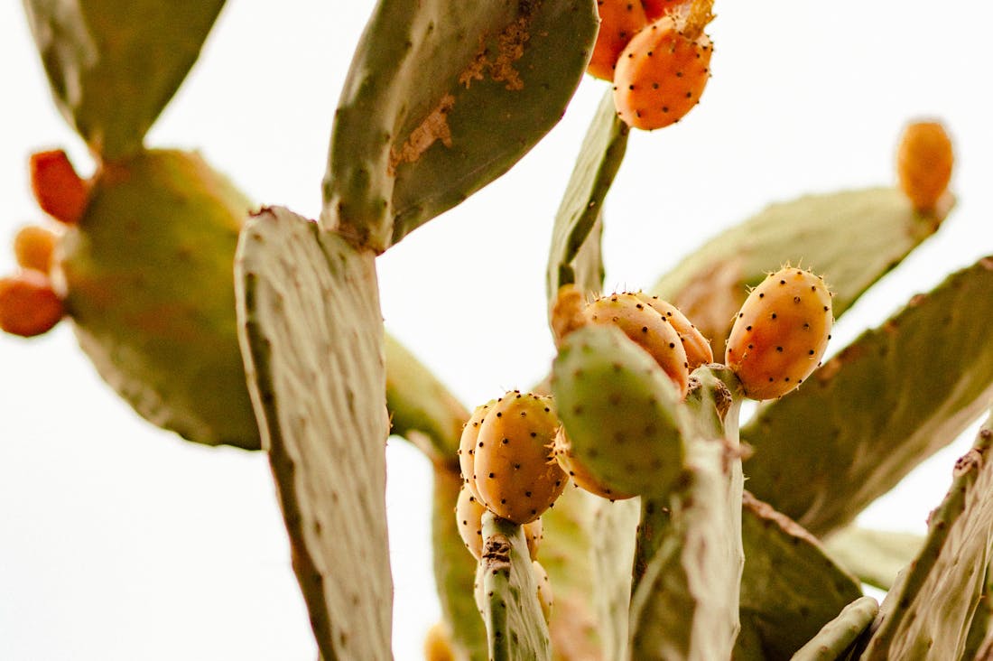 Energizing Your Life: Innovative Health Hacks for Living Vibrantly Every Day Image 1