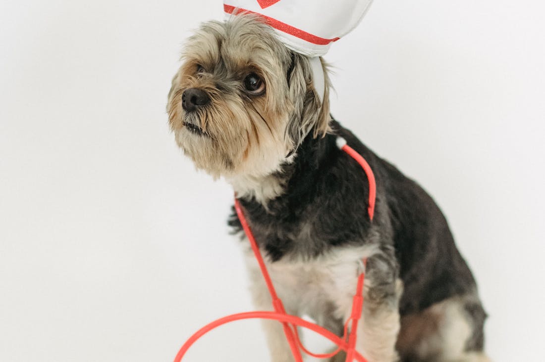 Enhancing Daily Wellness Habits Through Mindful Nutrition Practices