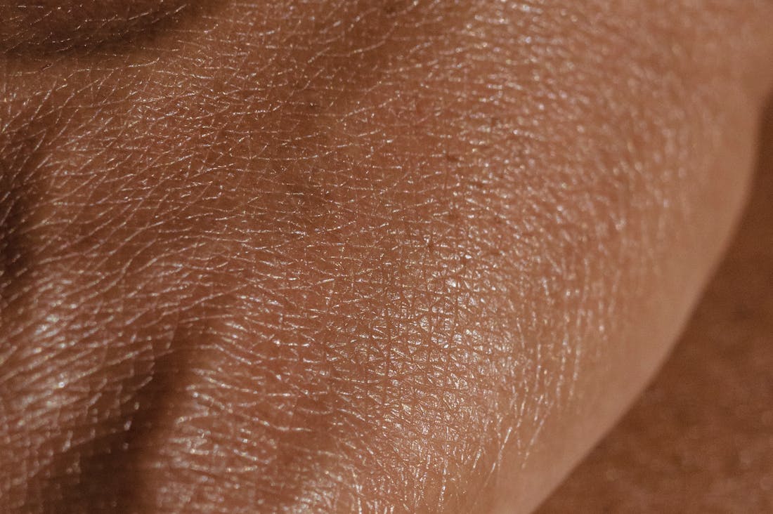 Essential Car Maintenance Tips for Peak Performance and Longevity Image 3