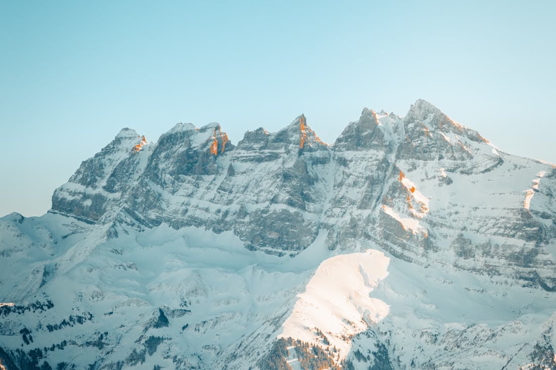 Essential Considerations for Choosing Your Next Vehicle Investment Image 1