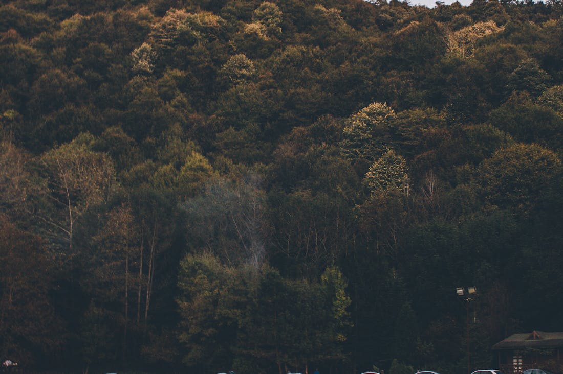 Essential Features That Define the Future of Electric Vehicles Image 3