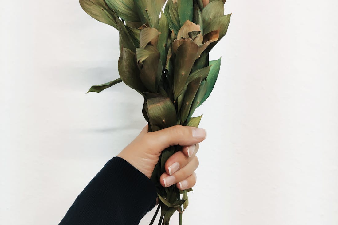 Essential Habits for Building a Healthier Lifestyle Amidst Life's Chaos Image 3