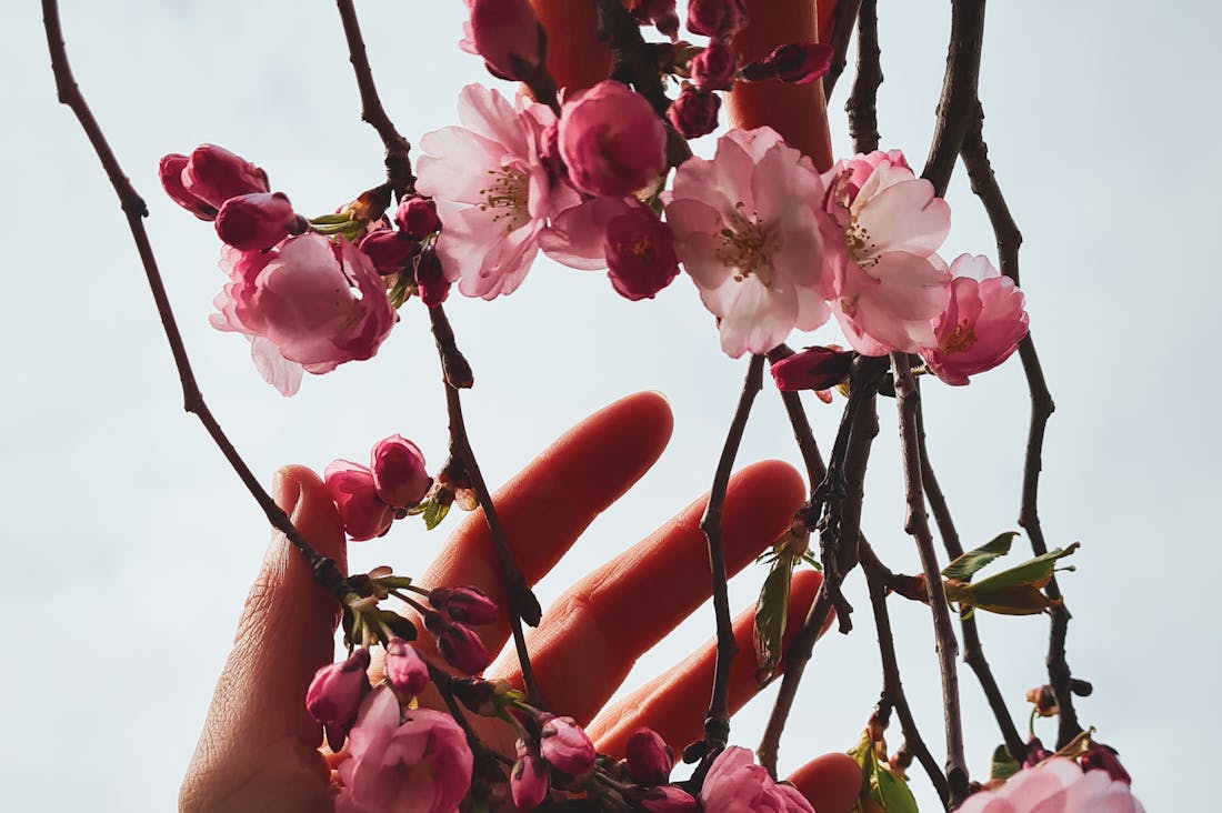 Essential Habits for Wellness: Transforming Your Health One Step at a Time Image 2