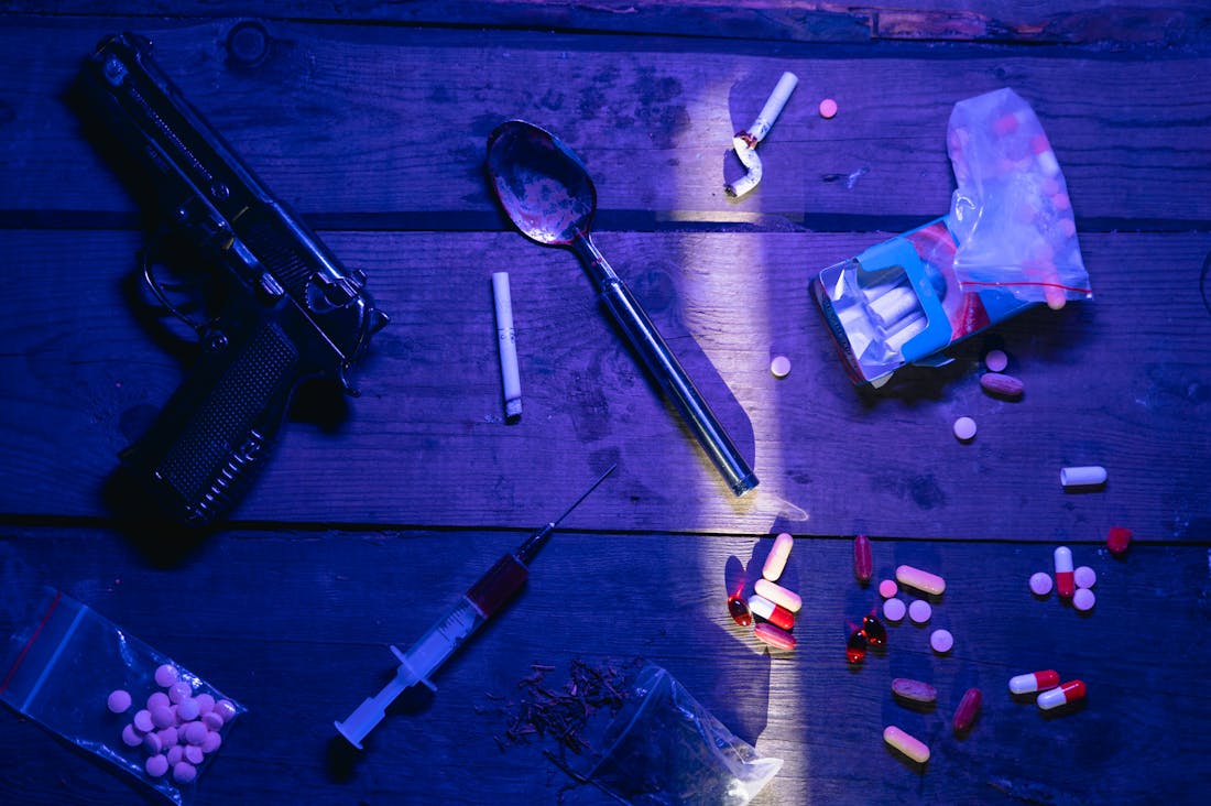 Essential Health Benefits of Integrating Plant-Based Meals into Your Diet Image 2