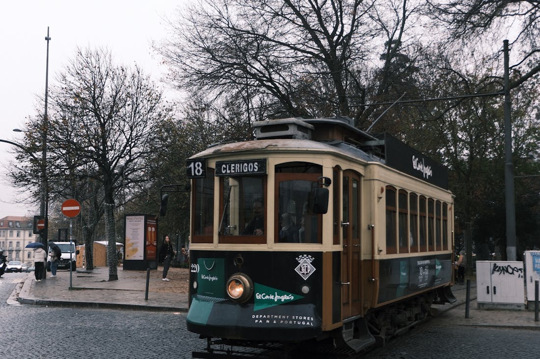 Essential Insights into Electric Vehicles and Sustainable Transportation
