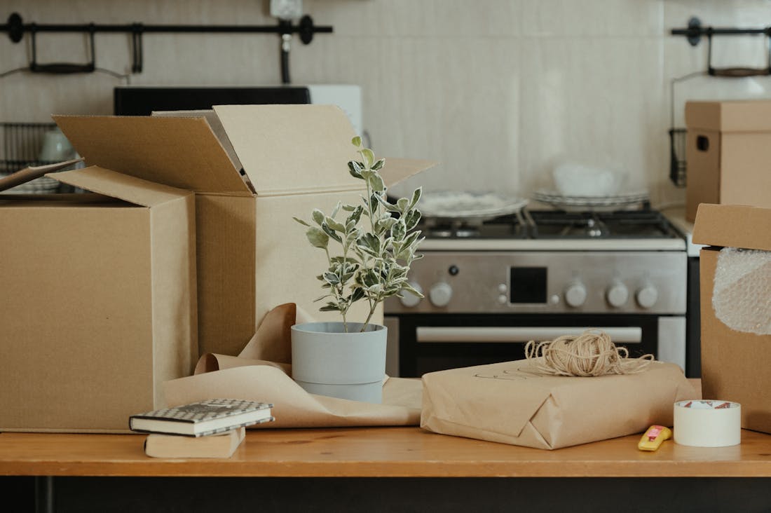 Essential Techniques to Elevate Your Road Trip Experience Image 2