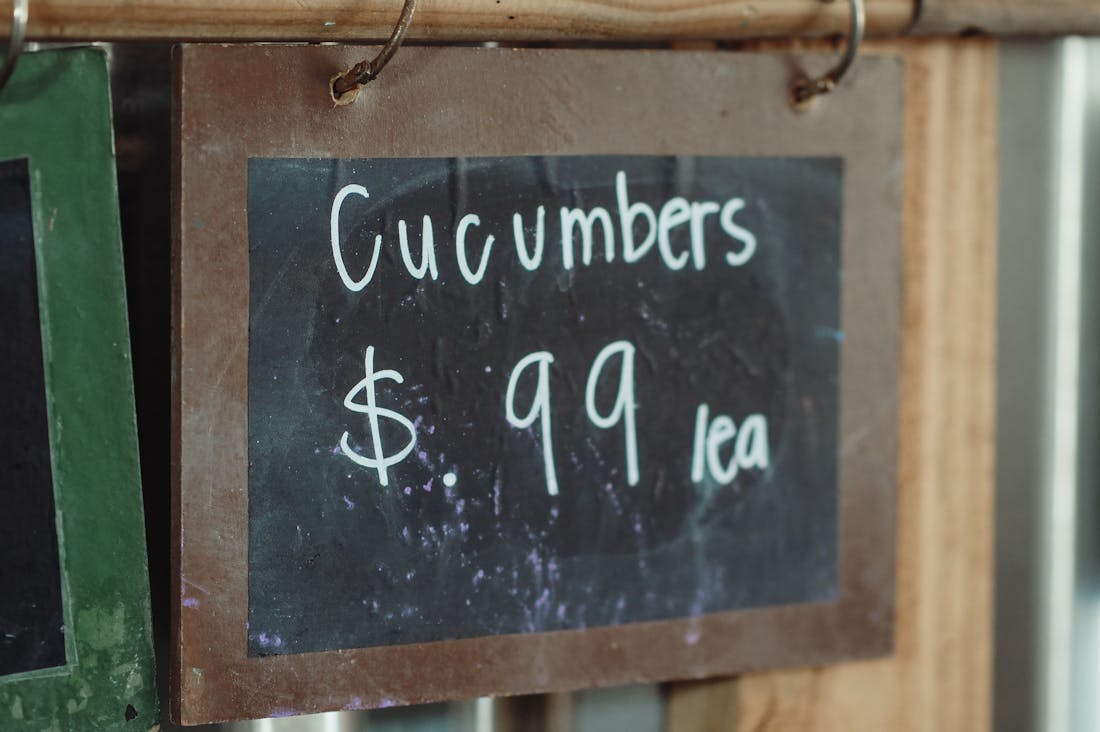 Essential Tips for Choosing the Right Car for Your Lifestyle Needs Image 2