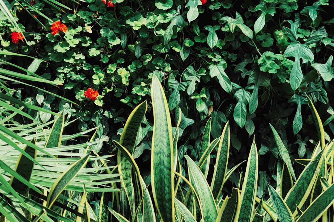 Essential Tips for Choosing the Right Car for Your Lifestyle Needs Image 3