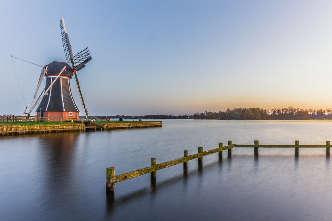 Essential Tips for Cultivating a Sustainable and Stylish Living Space Image 2