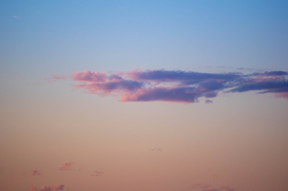 Essential Tips for Cultivating a Sustainable and Stylish Living Space Image 3