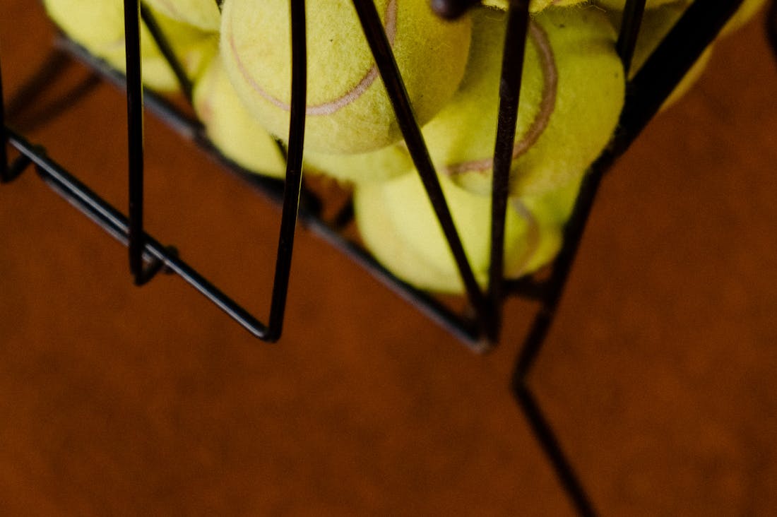 Essential Tips for Maximizing Your Vehicle's Performance and Longevity Image 1