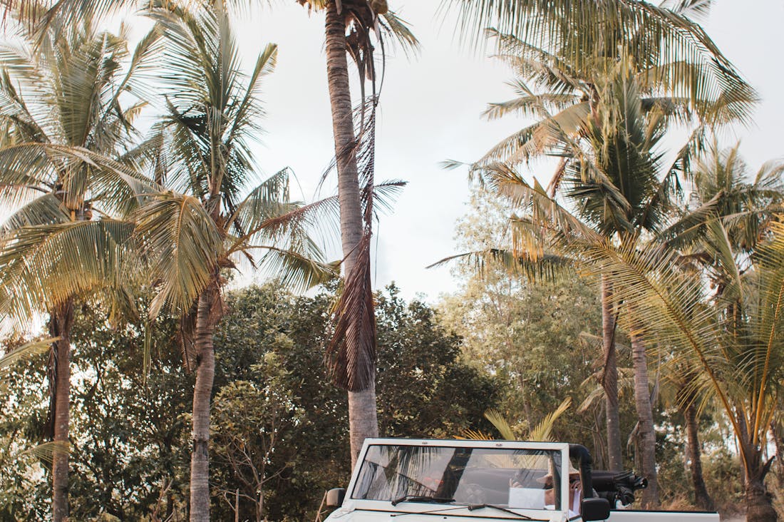 Essential Tips for Seamless Road Trips in 2023 Image 2