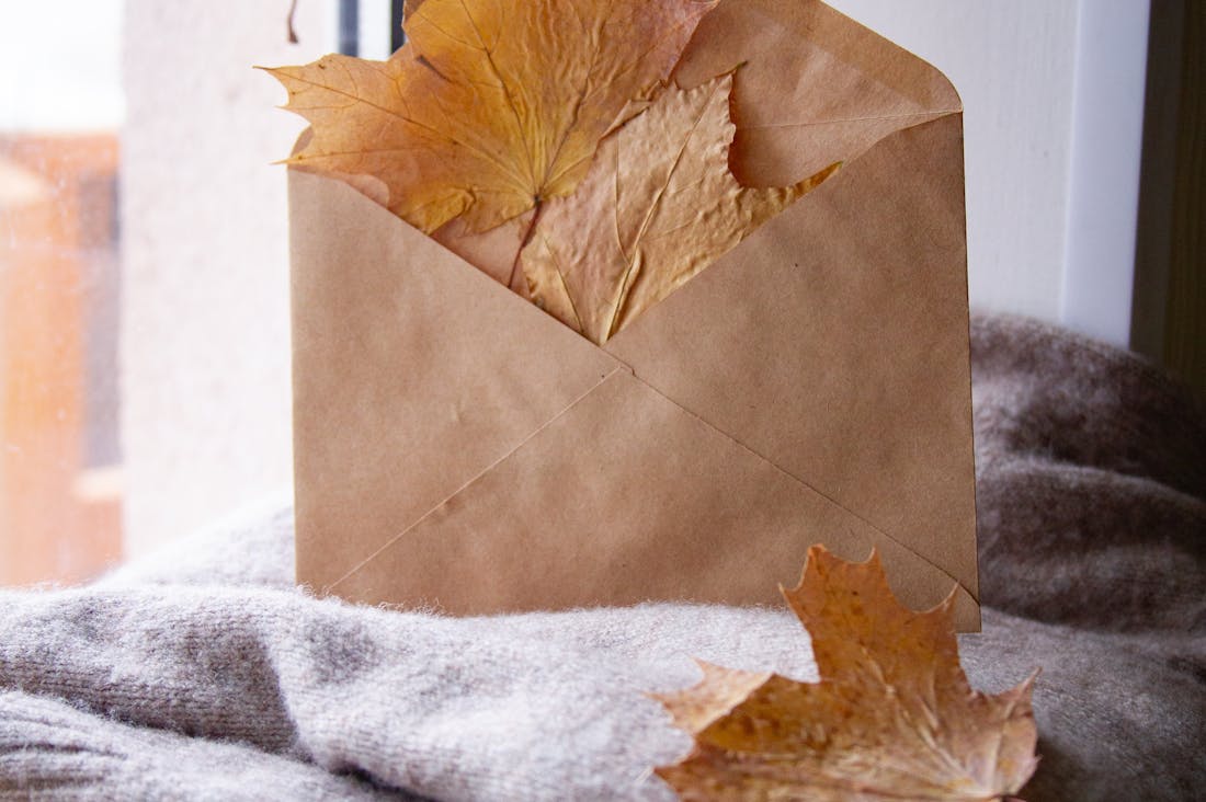 Essential Tips for Sustainable Living in Everyday Life Image 1